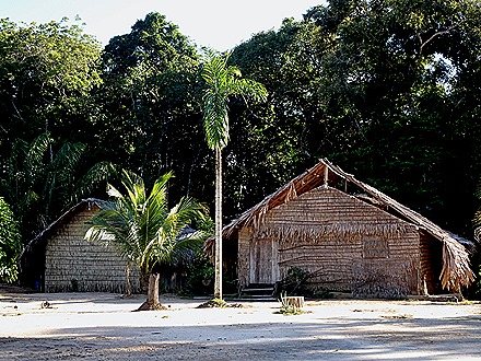 231. Manaus, Brazil (Day 1)