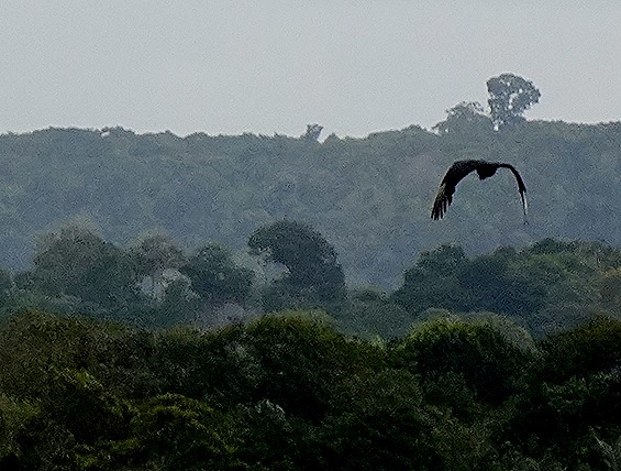 245. Santarem, Brazil