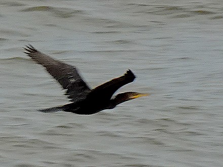 251. Santarem, Brazil