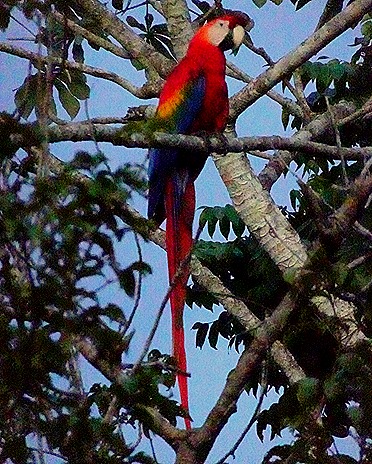 269. Manaus, Brazil (Day 1)