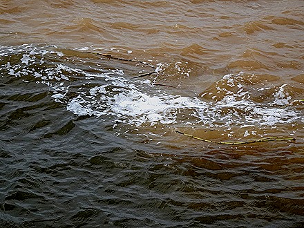 273. Santarem, Brazil