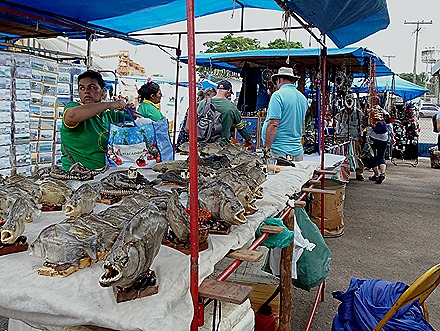 280. Santarem, Brazil_ShiftN