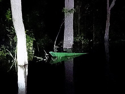 283. Manaus, Brazil (Day 1)