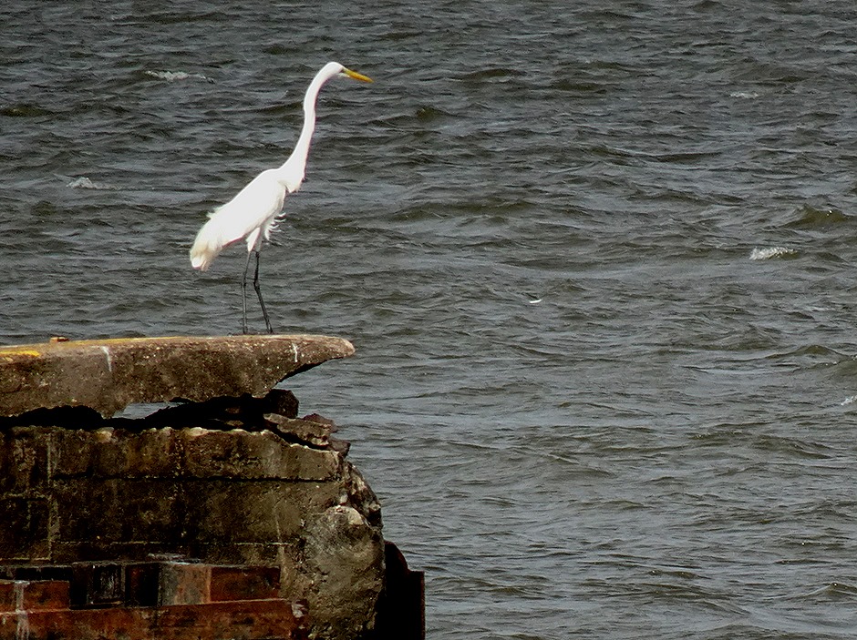288. Santarem, Brazil
