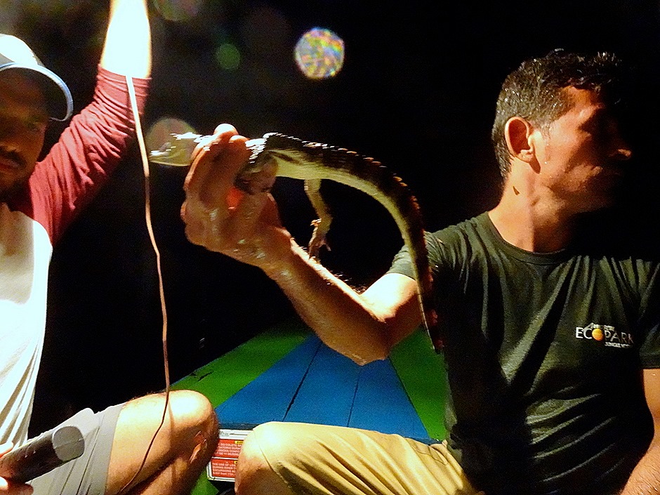 289. Manaus, Brazil (Day 1)