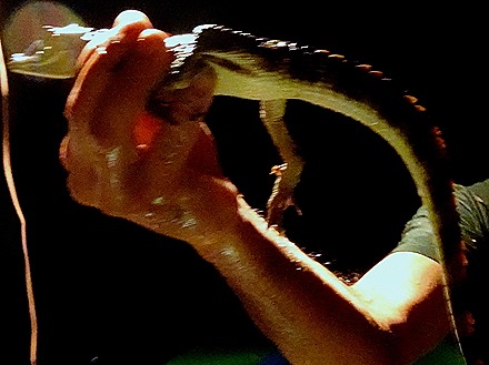 289a. Manaus, Brazil (Day 1)