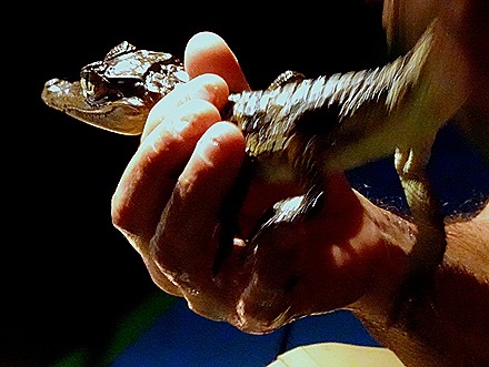 291. Manaus, Brazil (Day 1)