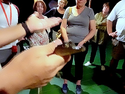 310. Manaus, Brazil (Day 1)