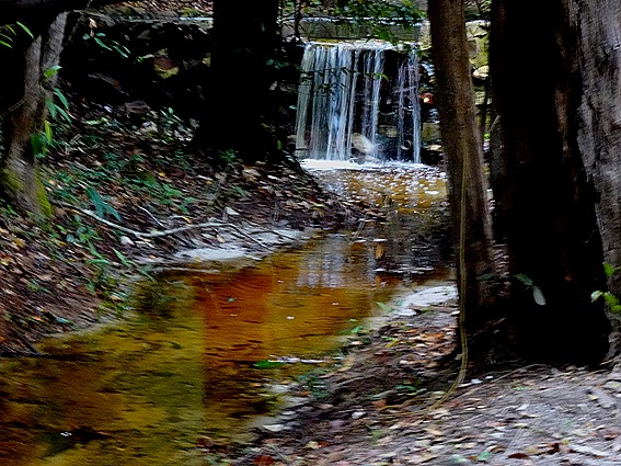 34. Manaus, Brazil (Day 2) 