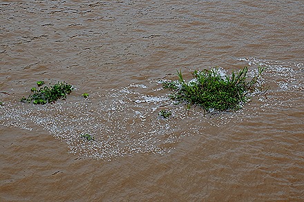 54. Boca de Valeria, Brazil