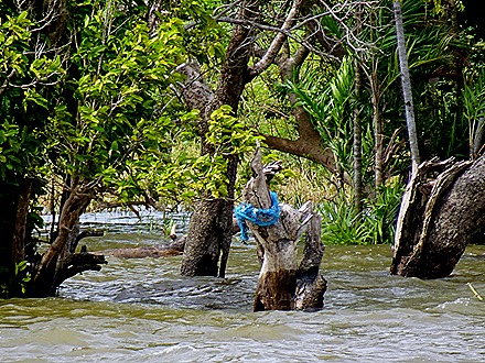 56. Santarem, Brazil