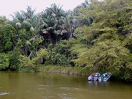 60. Santarem, Brazil