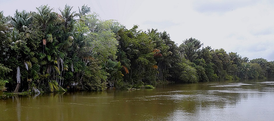 63b. Santarem, Brazil_stitch