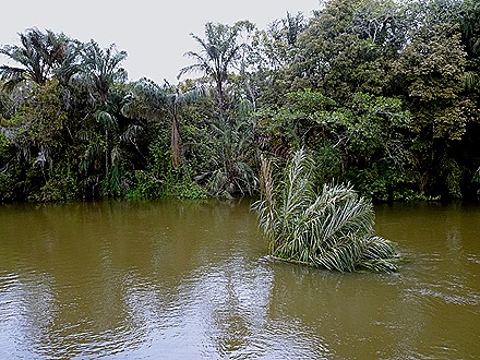 69. Santarem, Brazil