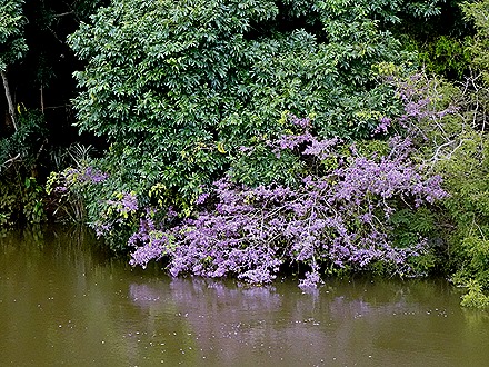 71. Santarem, Brazil