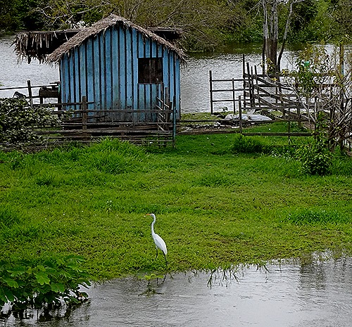 72. Santarem, Brazil