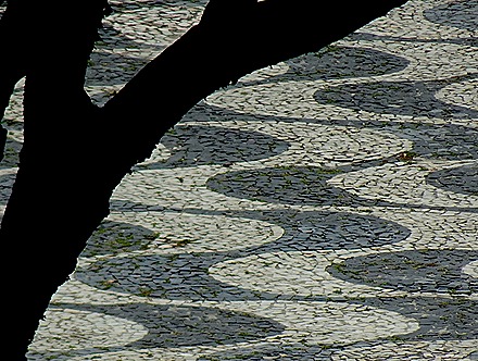 82. Manaus, Brazil (Day 1)