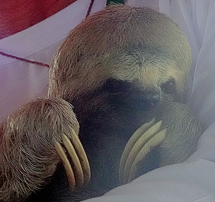 98. Santarem, Brazil