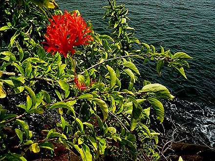 107. Devil's Island, French Guiana