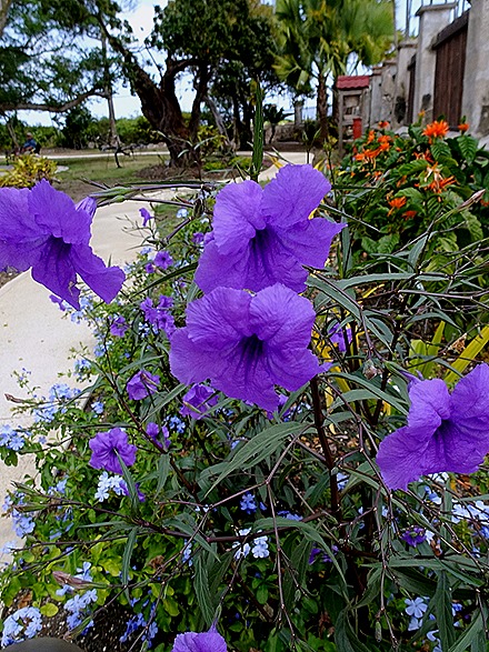 121. Bridgetown, Barbados