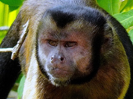 14a. Devil's Island, French Guiana