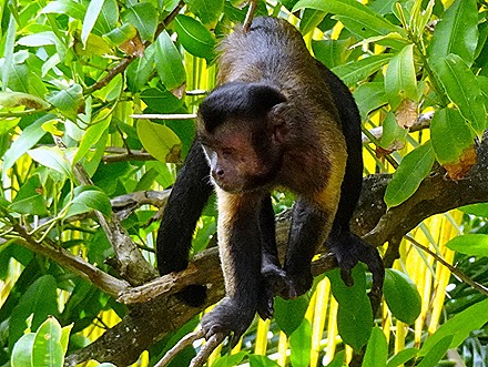 16. Devil's Island, French Guiana