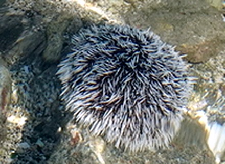 17. Port Elizabeth, Bequia, Grenadines