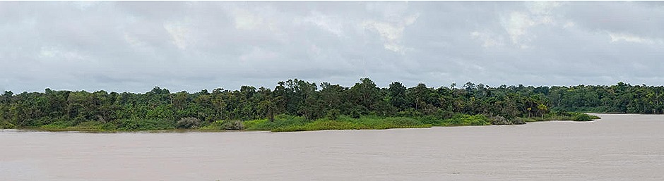 1a. Neptune & Birthday at mouth of Amazon_stitch