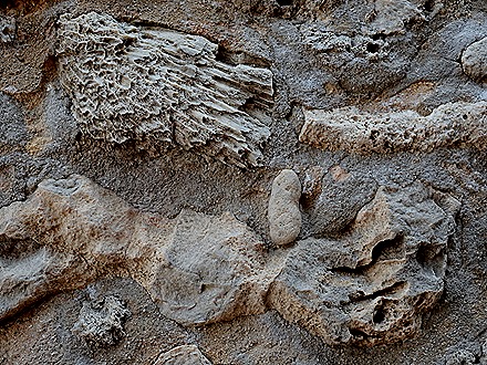 2. Willemstadt, Curacao