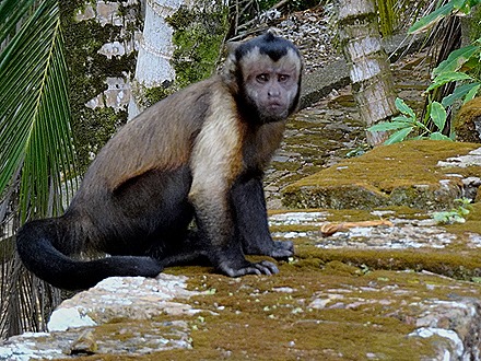 24. Devil's Island, French Guiana