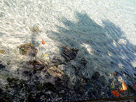 26. Port Elizabeth, Bequia, Grenadines