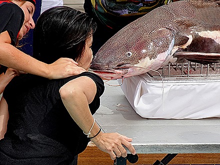 37. Neptune & Birthday at mouth of Amazon