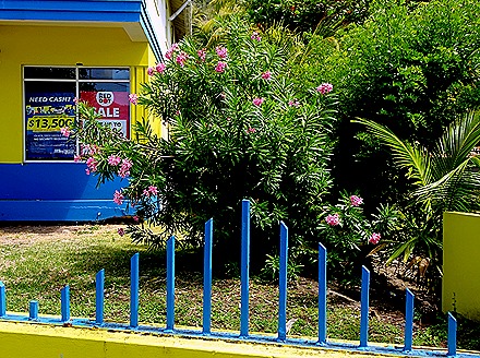 52. Port Elizabeth, Bequia, Grenadines_ShiftN