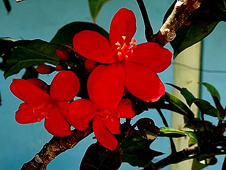 56. Port Elizabeth, Bequia, Grenadines