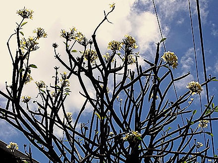 63. Port Elizabeth, Bequia, Grenadines