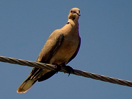 65. Port Elizabeth, Bequia, Grenadines