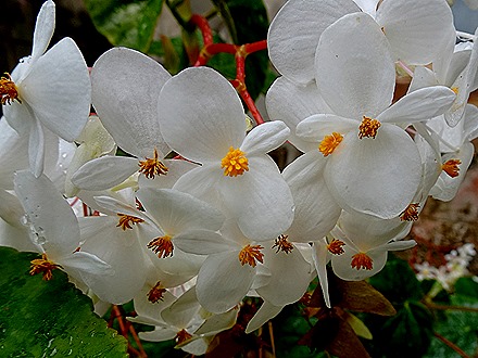 66. Bridgetown, Barbados