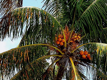 70. Port Elizabeth, Bequia, Grenadines