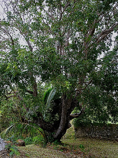 73. Bridgetown, Barbados