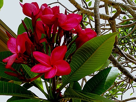 78. Devil's Island, French Guiana