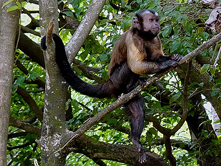 82. Devil's Island, French Guiana