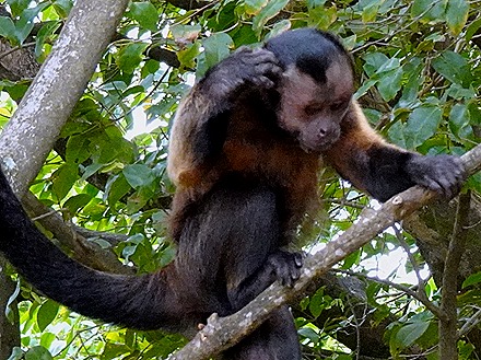 84. Devil's Island, French Guiana