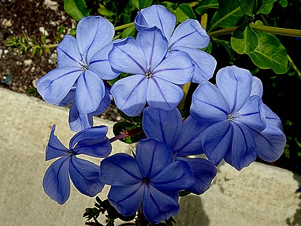 91. Bridgetown, Barbados