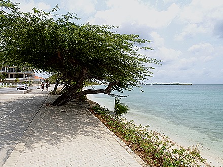 46. Orangestadt, Aruba
