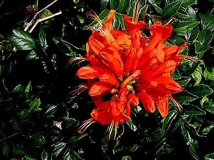 1. 2022, 03-19 Philipsburg, St Maarten