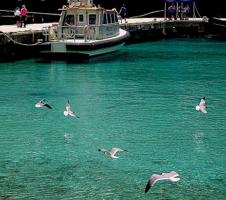 101. 2022, 04-01  Krejelijk, Bonaire