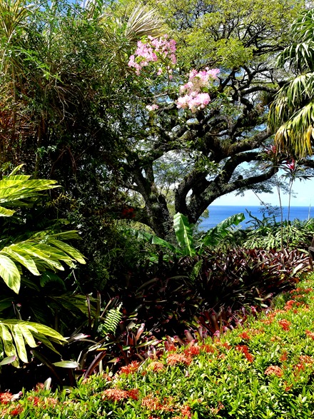 11. 2022, 03-23  Basseterre, St Kitts