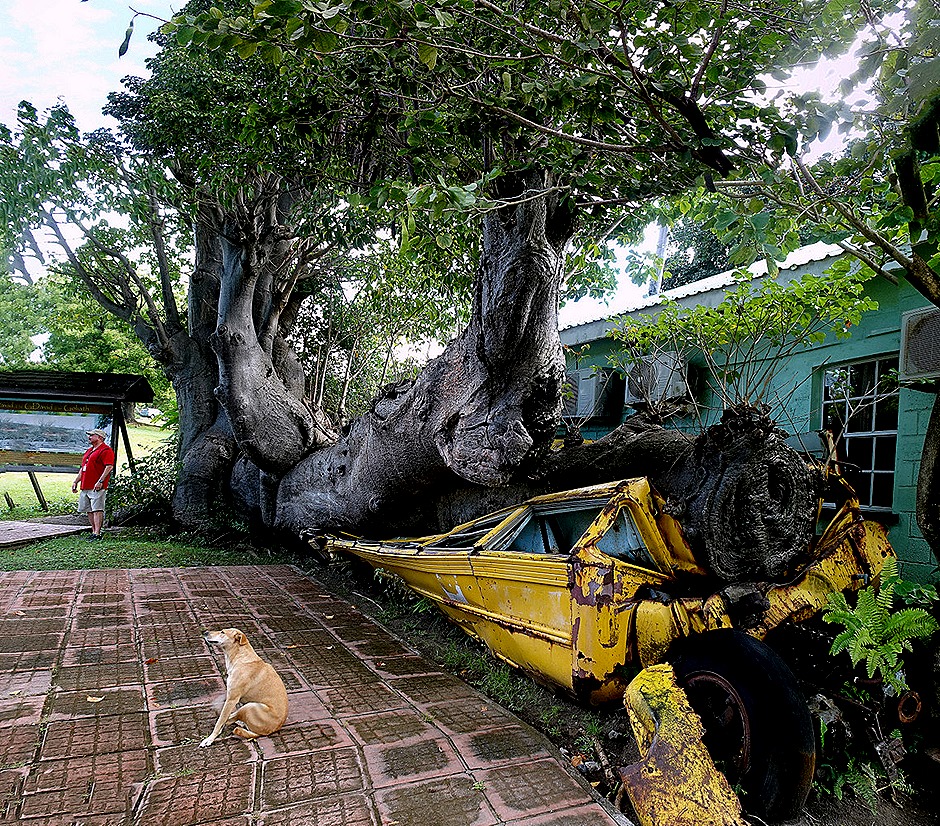 11a. 2022, 03-221  Roseau, Dominica_stitch