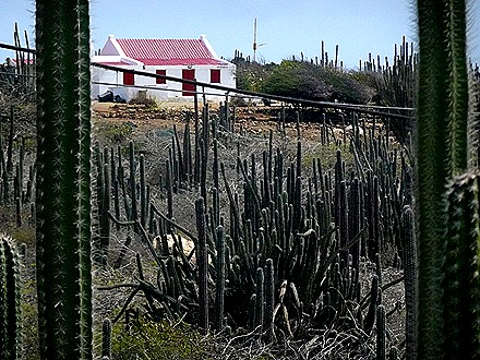 12. 2022, 04-03  Oranjestad, Aruba