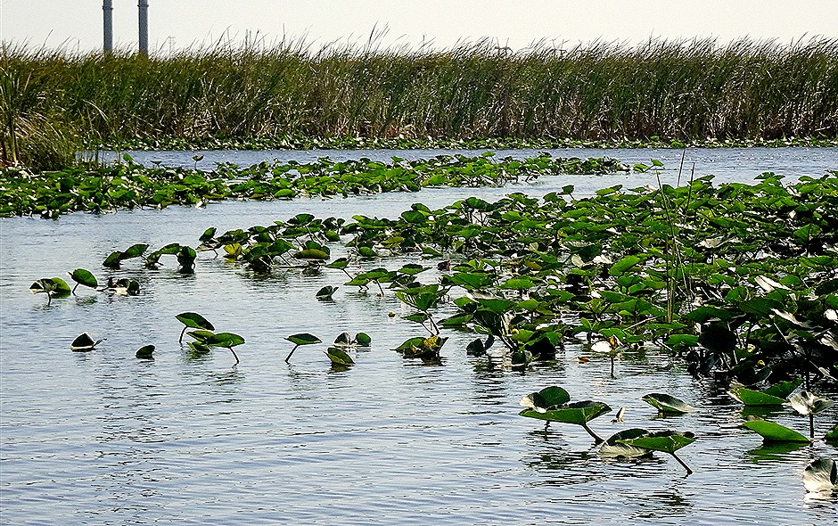 13. 2022, 03-27  Ft Lauderdale, Florida